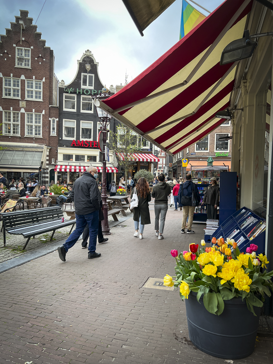 iApril2022-2554-amsterdam-denise-crew-travel-photographer-lifestyle-kids-brooke-embry